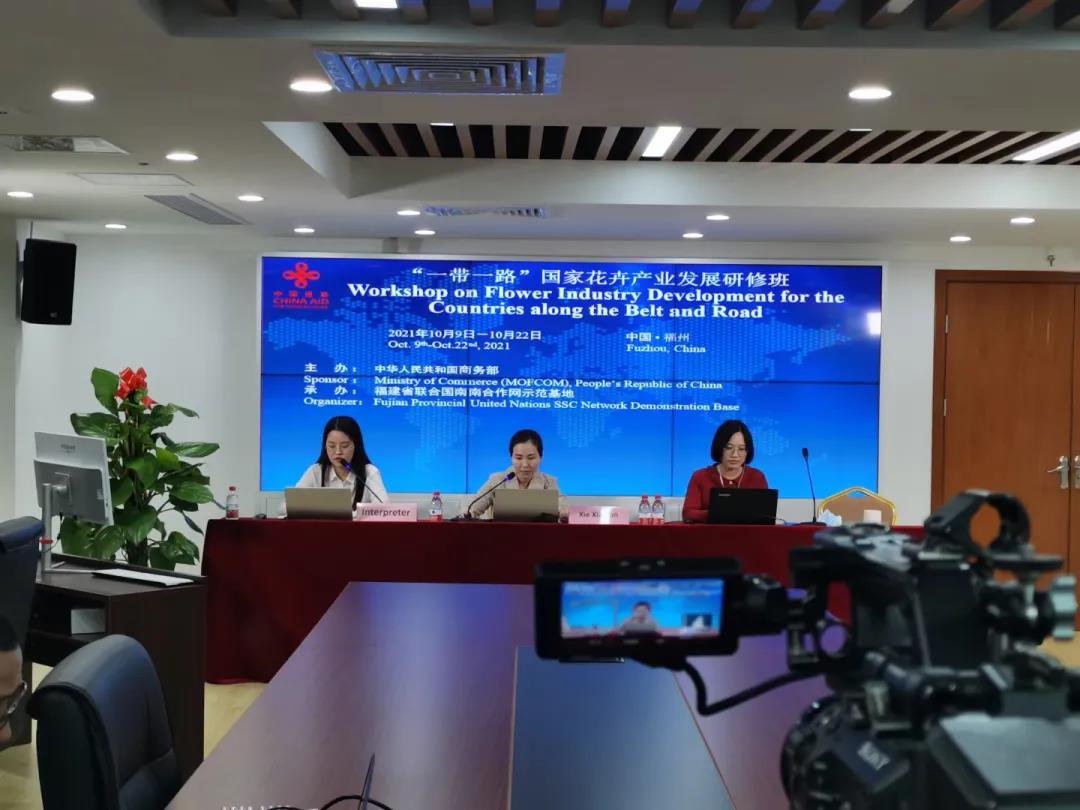 1720420045332812.jpg a.jpg