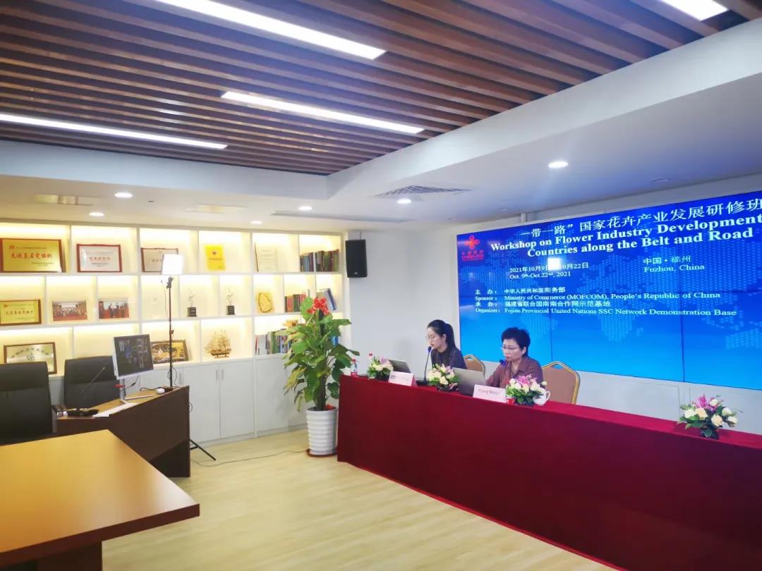 1720420063589614.jpg b.jpg