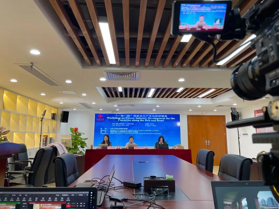 1720420075433763.jpg d.jpg