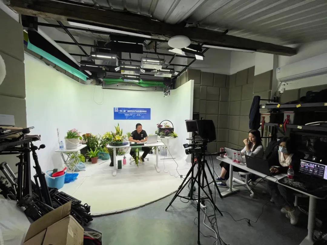 1720420129256739.jpg g.jpg